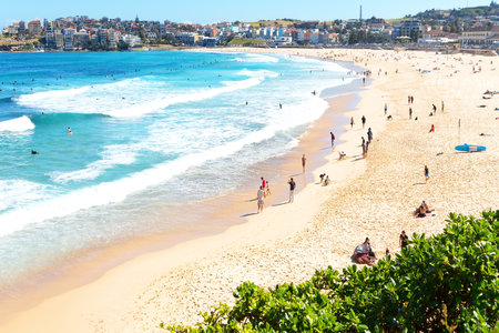 10 Must-Try Meals on the World's Most Famous Beach, Bondi